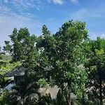 Luxury Living At Tree Condo Nai Harn\'S Best