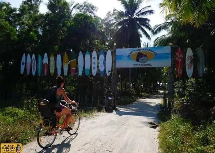 Micky Monkey Beach At Maikhao Beach