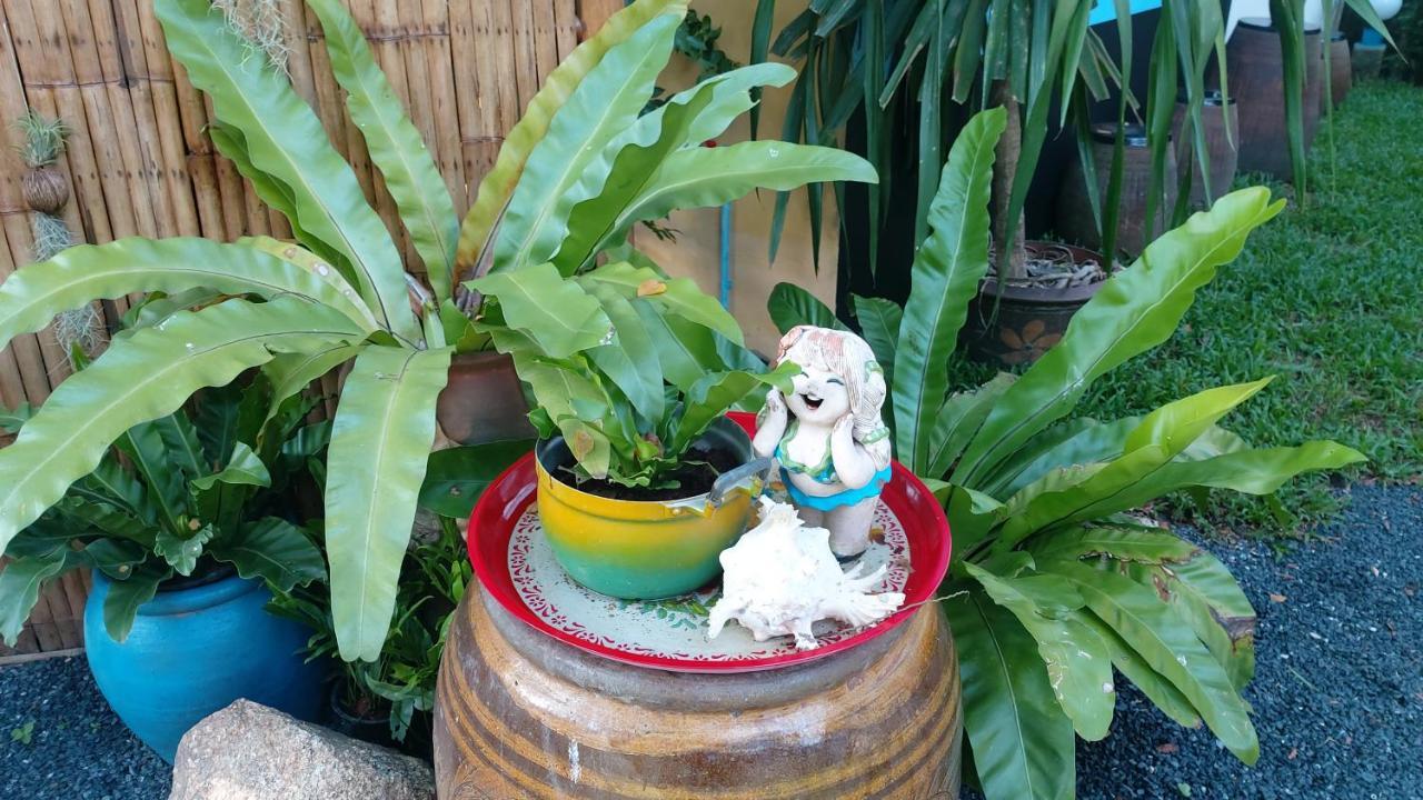 Guest house Marin' S