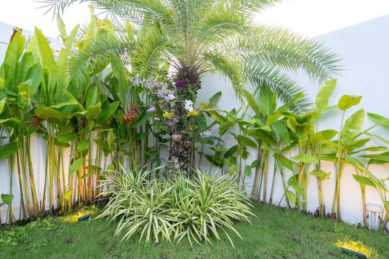 Vila Labriz Ocean - Tropical Modern Living