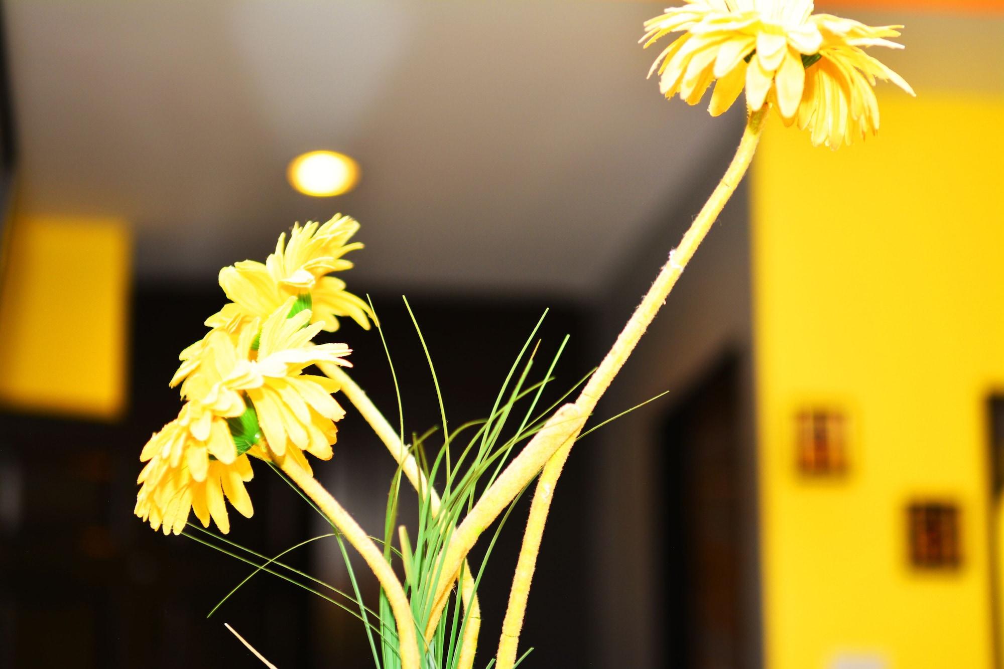 Hotel Lavender 3*