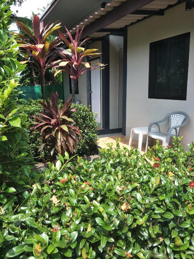 Hostel Airee Mini House