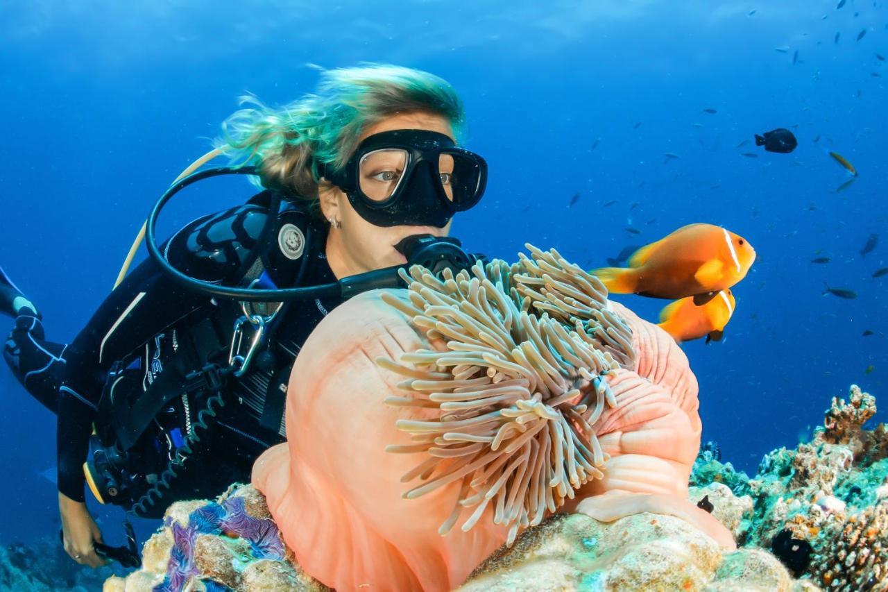 Sunshine And Diving School Nr 5 * Nai Yang Beach