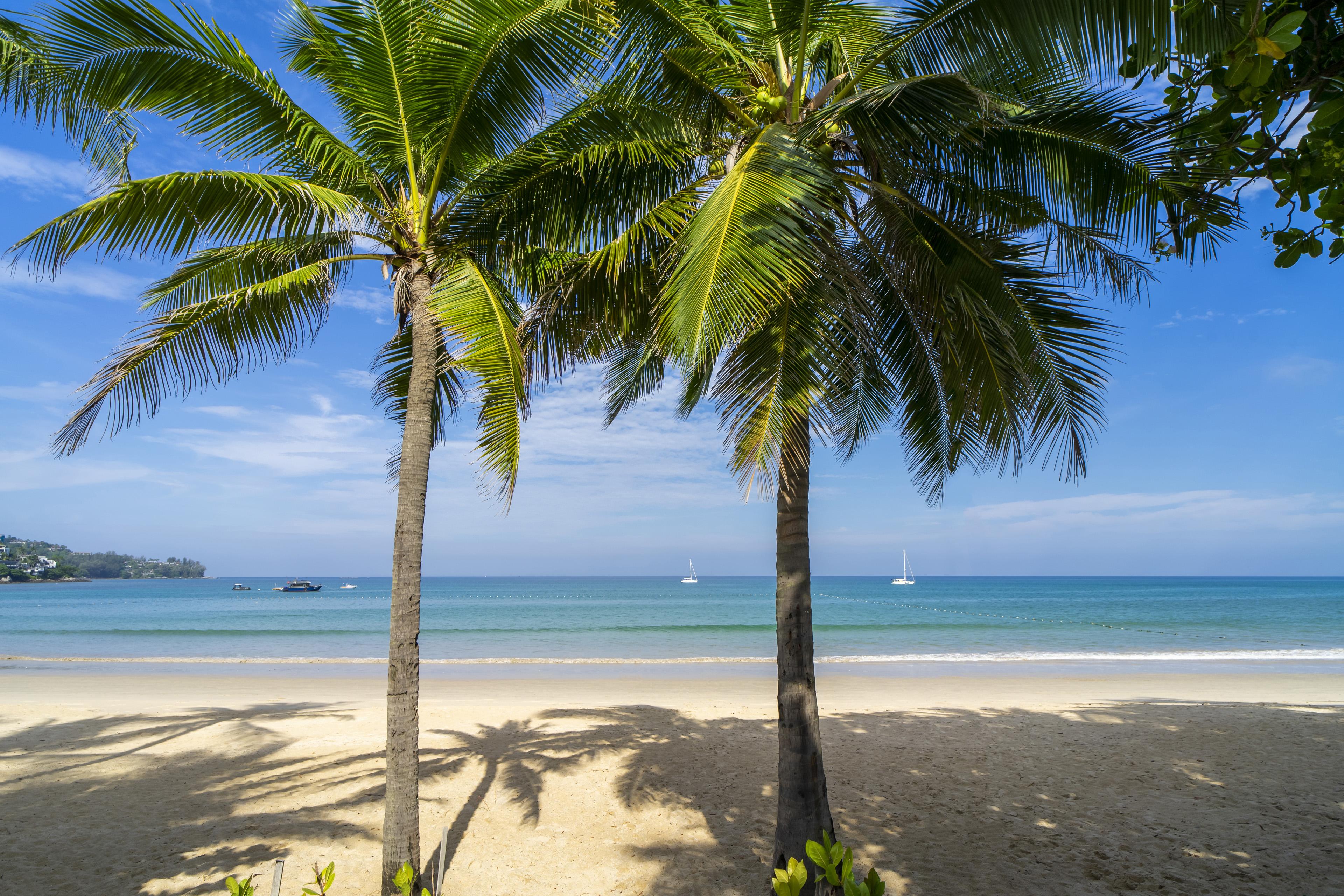 Sunwing 4* Kamala Beach