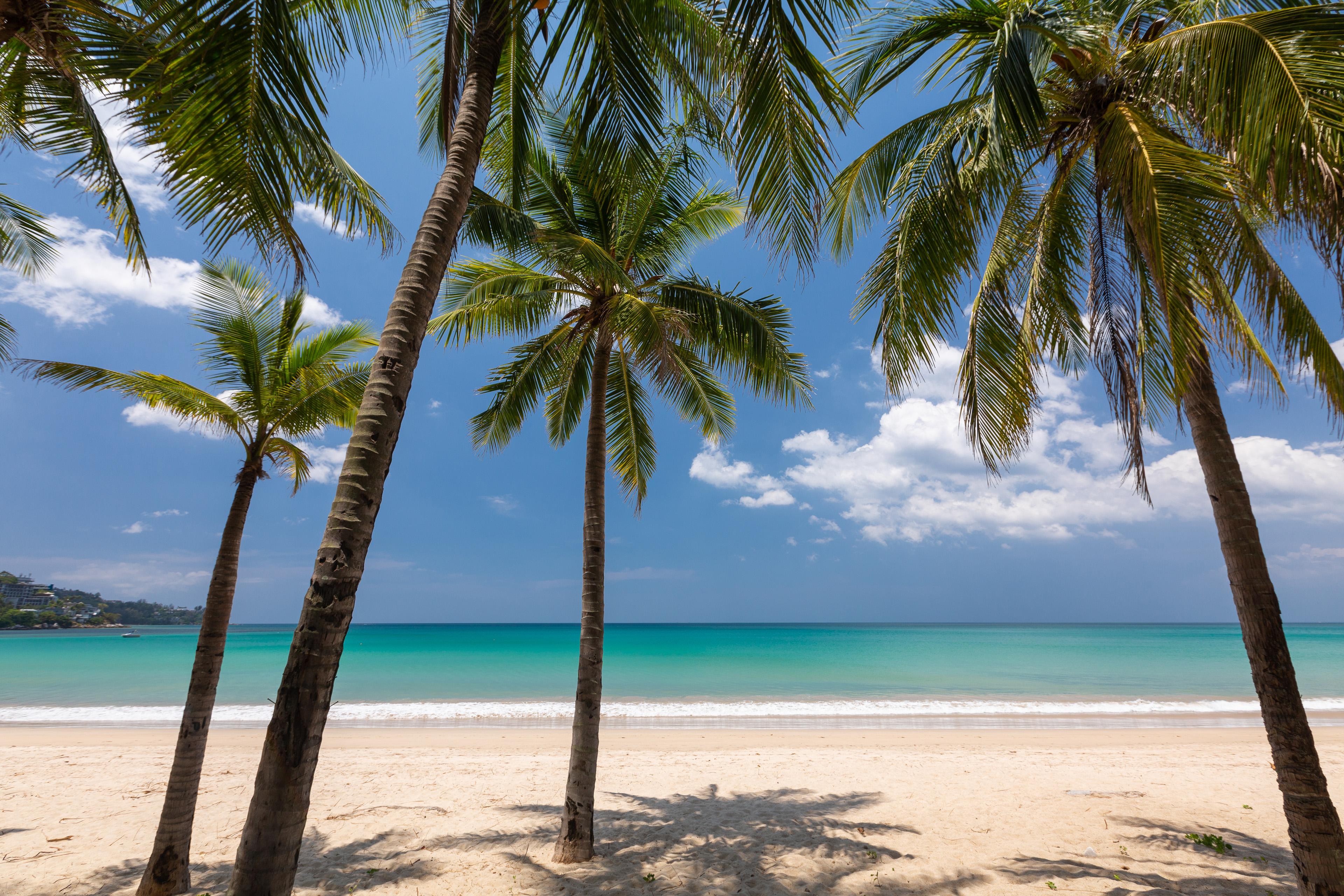 Sunprime (adults Only) 4*