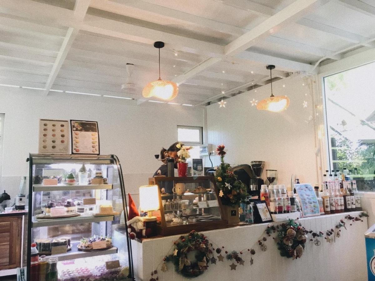 Nua Tone & Cafe Katil