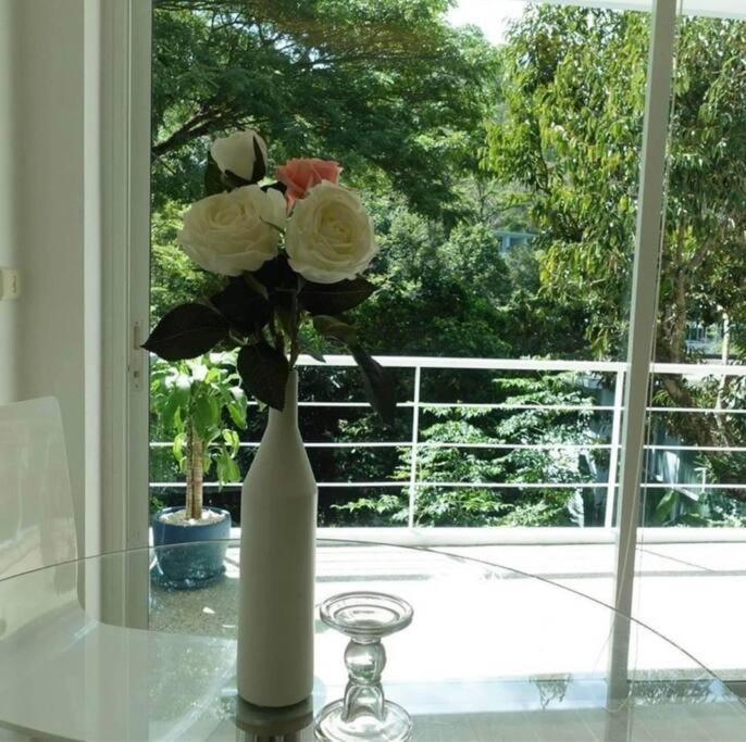 The Tree Seaview And Quiet Surrounded By Trees 75smetre *