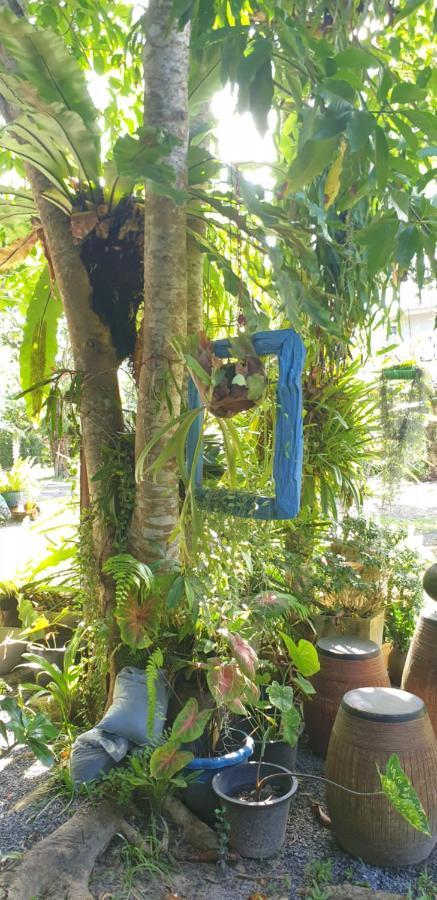 Marin' S Guest house
