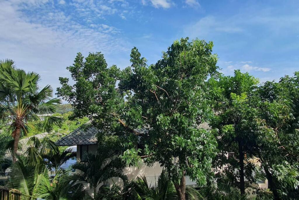 Apartment Luxury Living At Tree Nai Harn's *