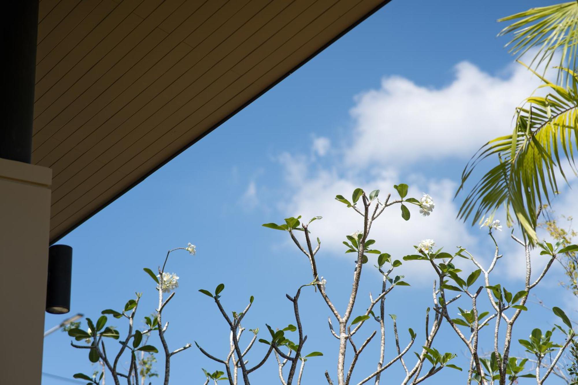 5 Bdr 18 Meter Pool In Laguna * Phuket