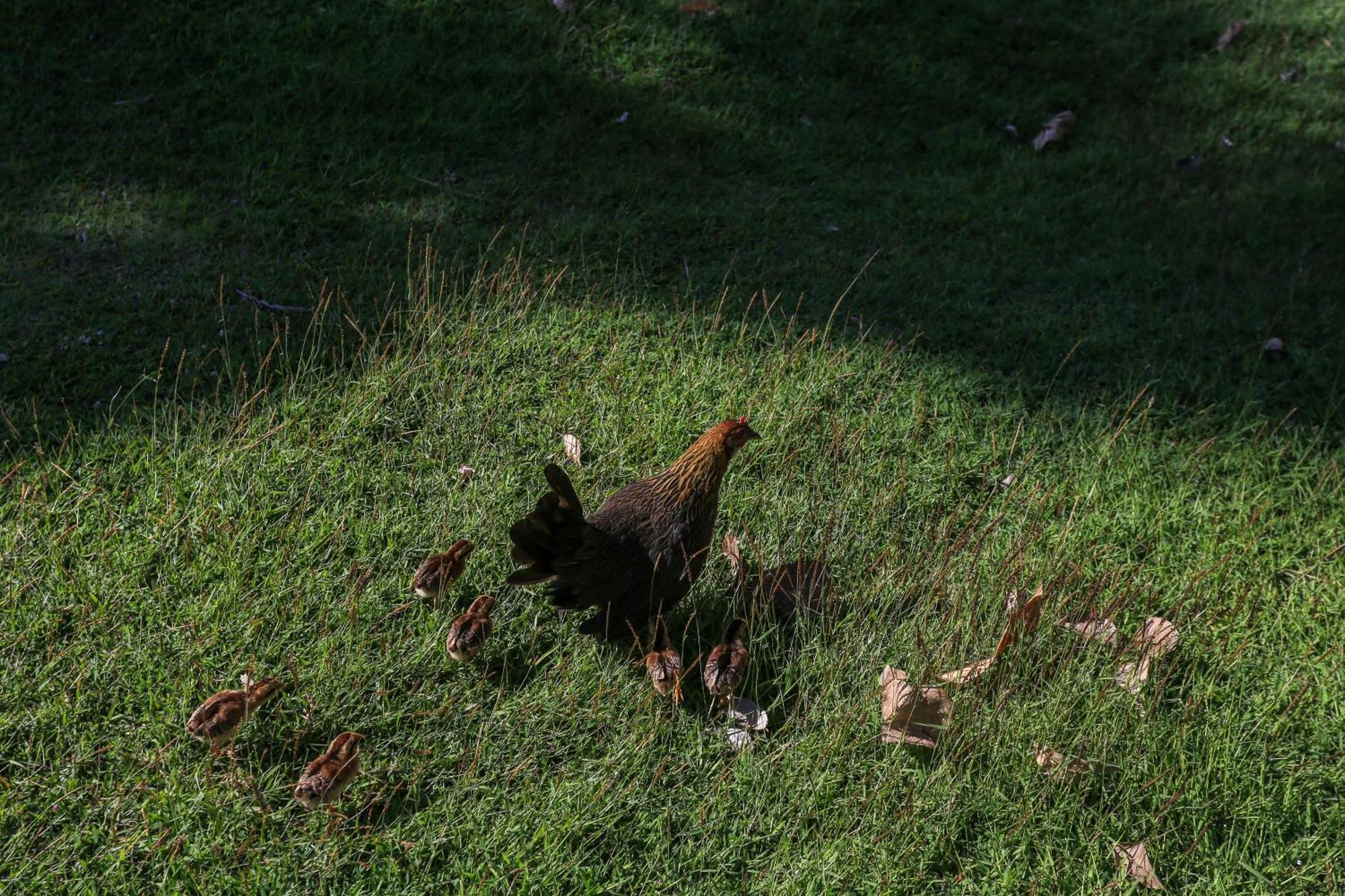 Ban Raya And Ko Racha Yai