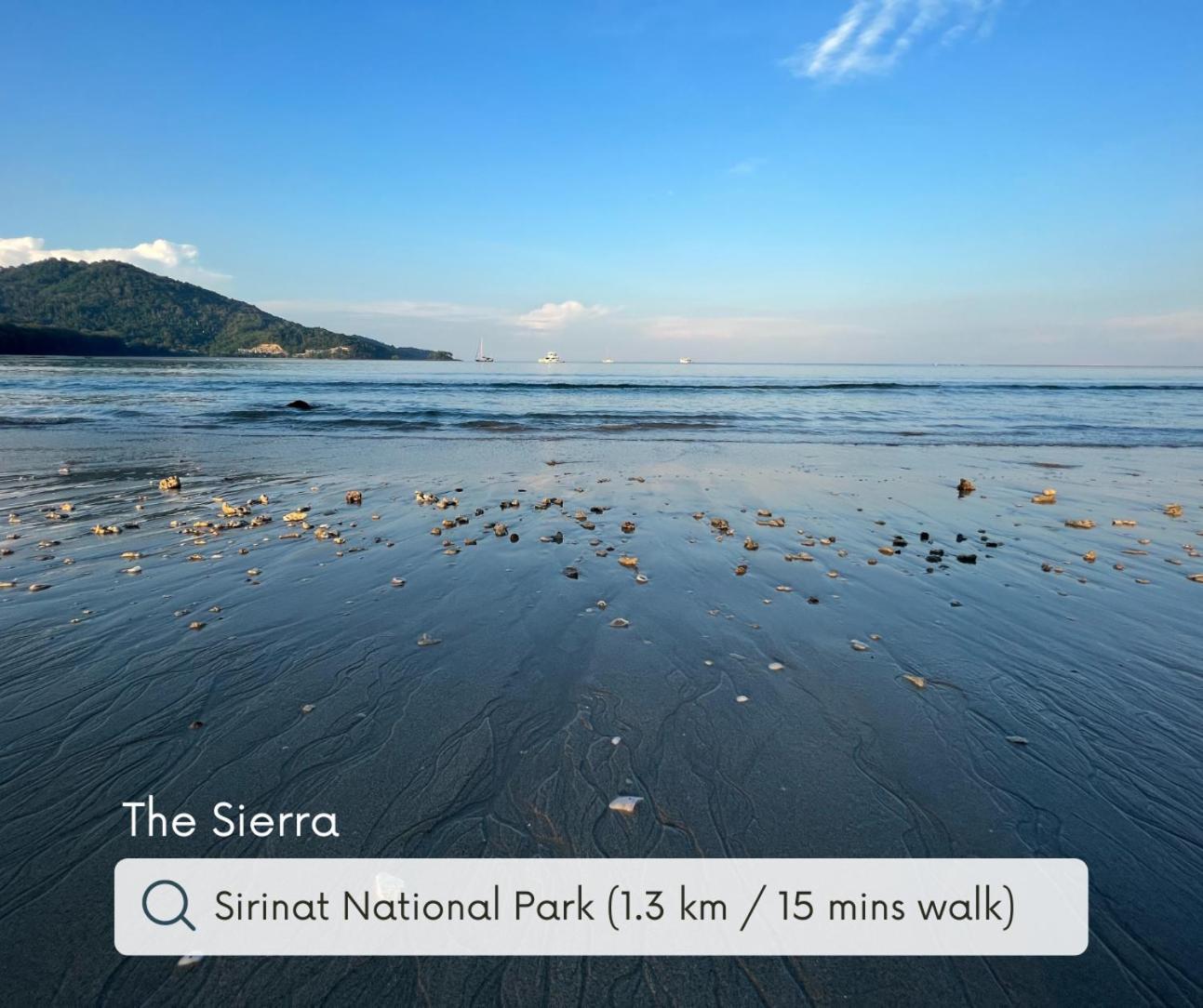 Sierra *