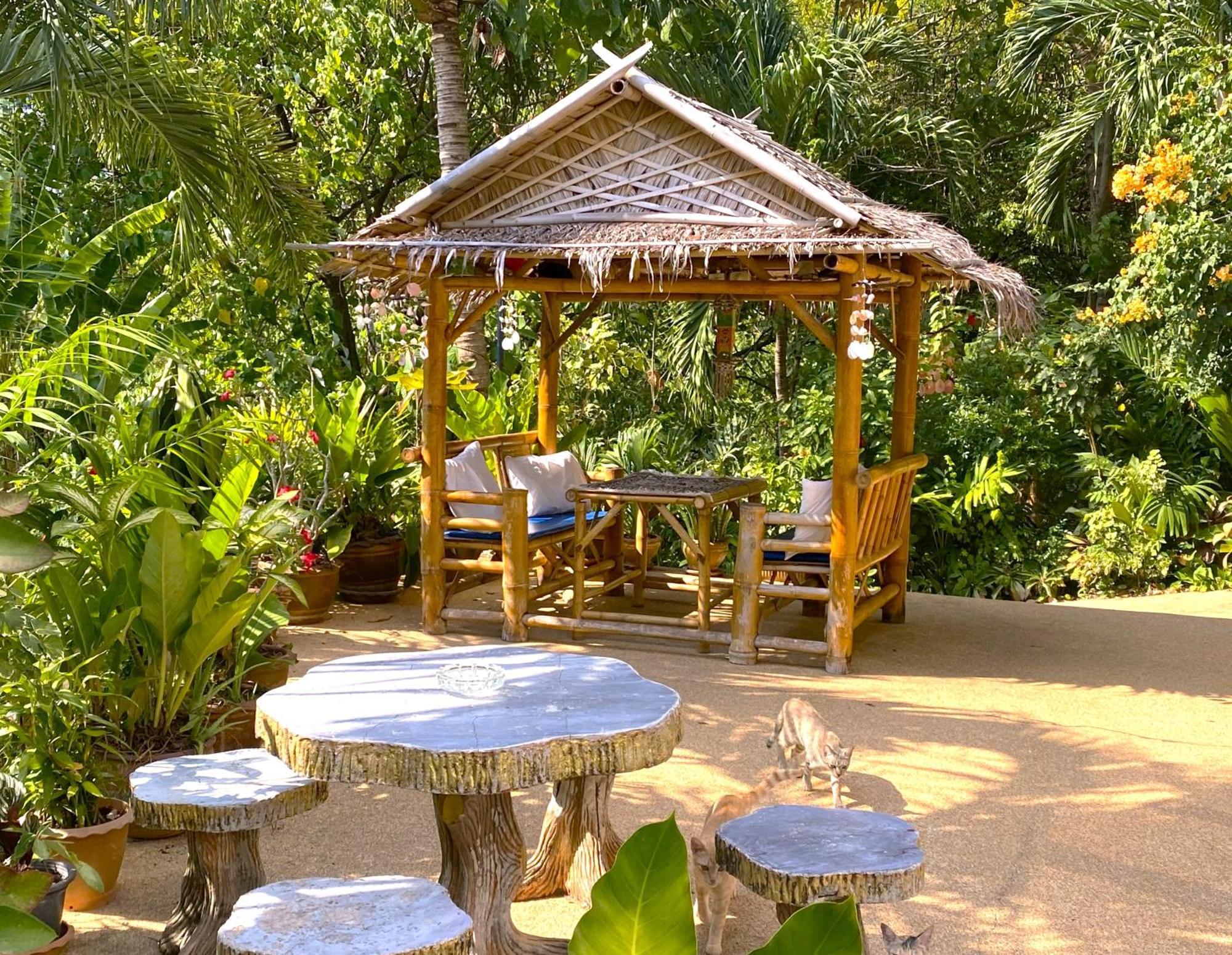 Oasis Naturist *