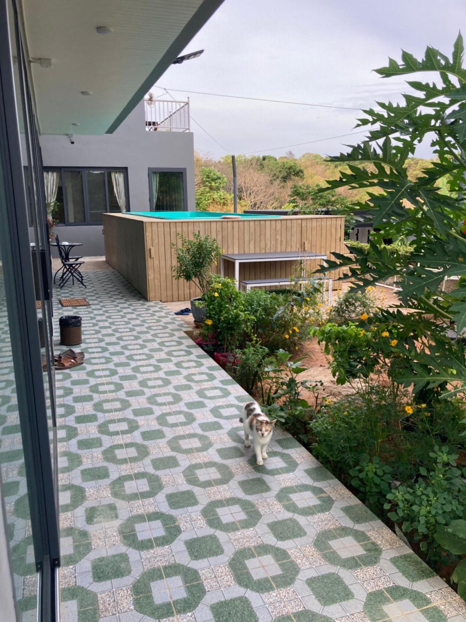Seaview Eagles Nest Appartement