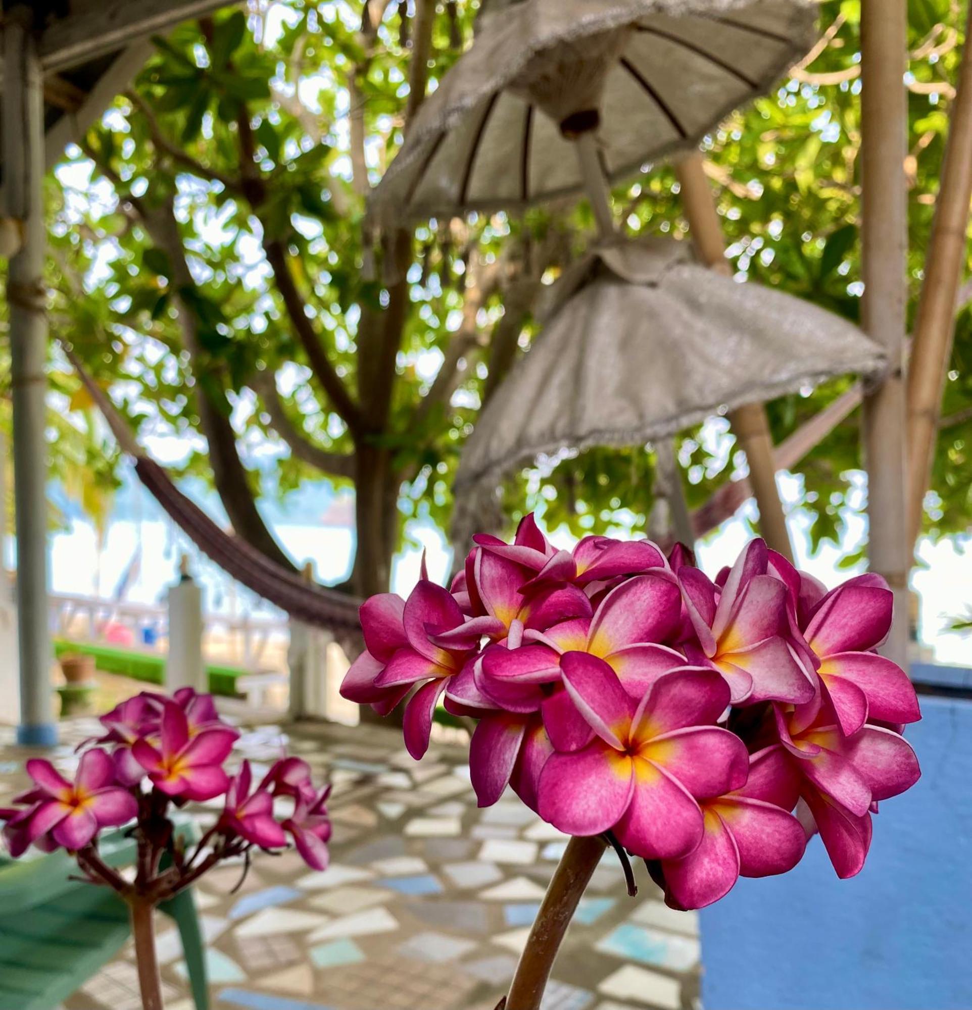 Pensão Sunset Village - Season Retreat