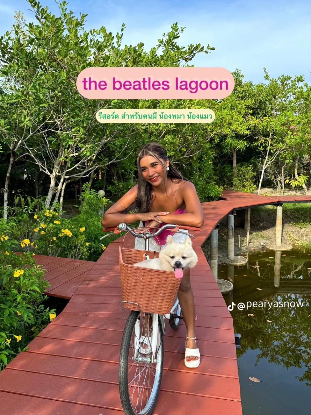 The Beatles Lagoon