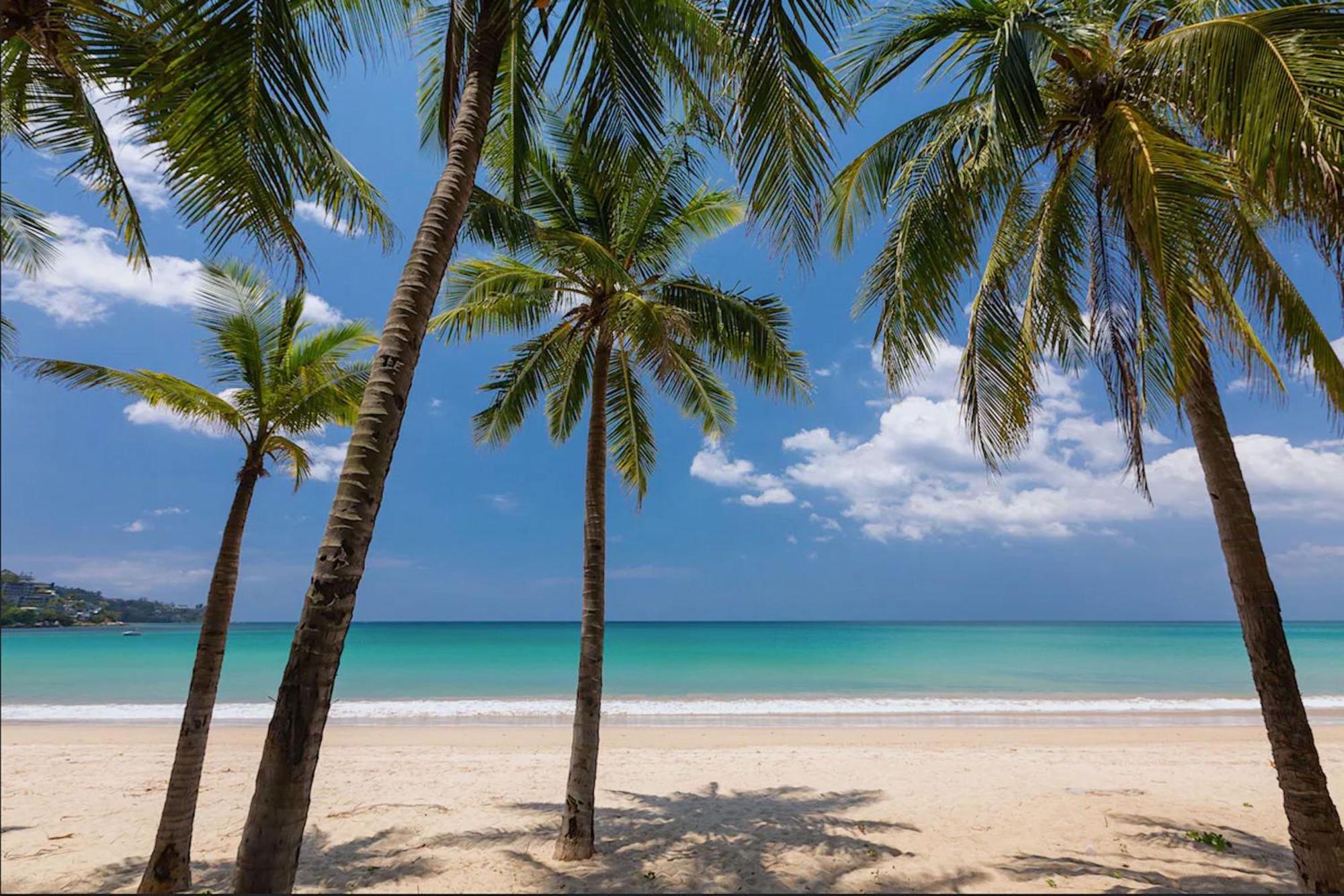 Tropical & Relaxing At Citygate L304, Amenities, Close To Fantasea And Cafe Del Mar Club * Kamala Beach