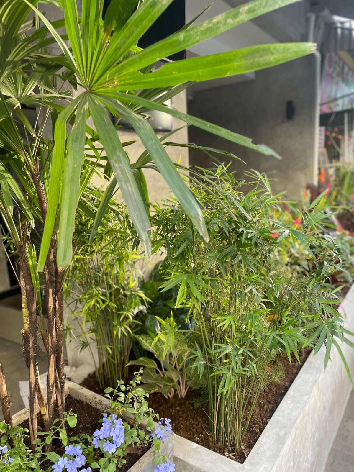 Bed & Breakfast Bh Cozy Paradise *