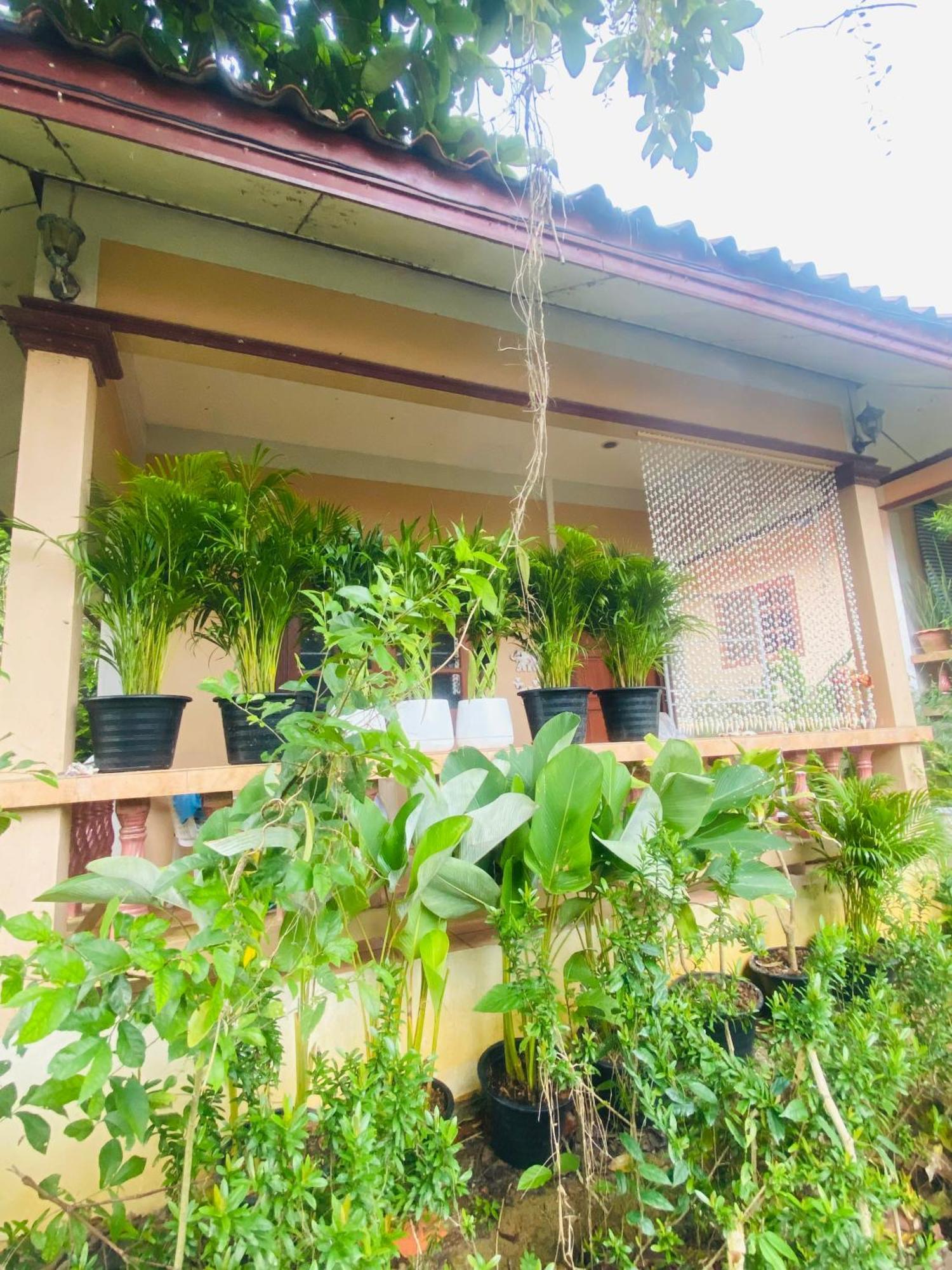 Rose At Ya Nui Holiday home Nai Harn