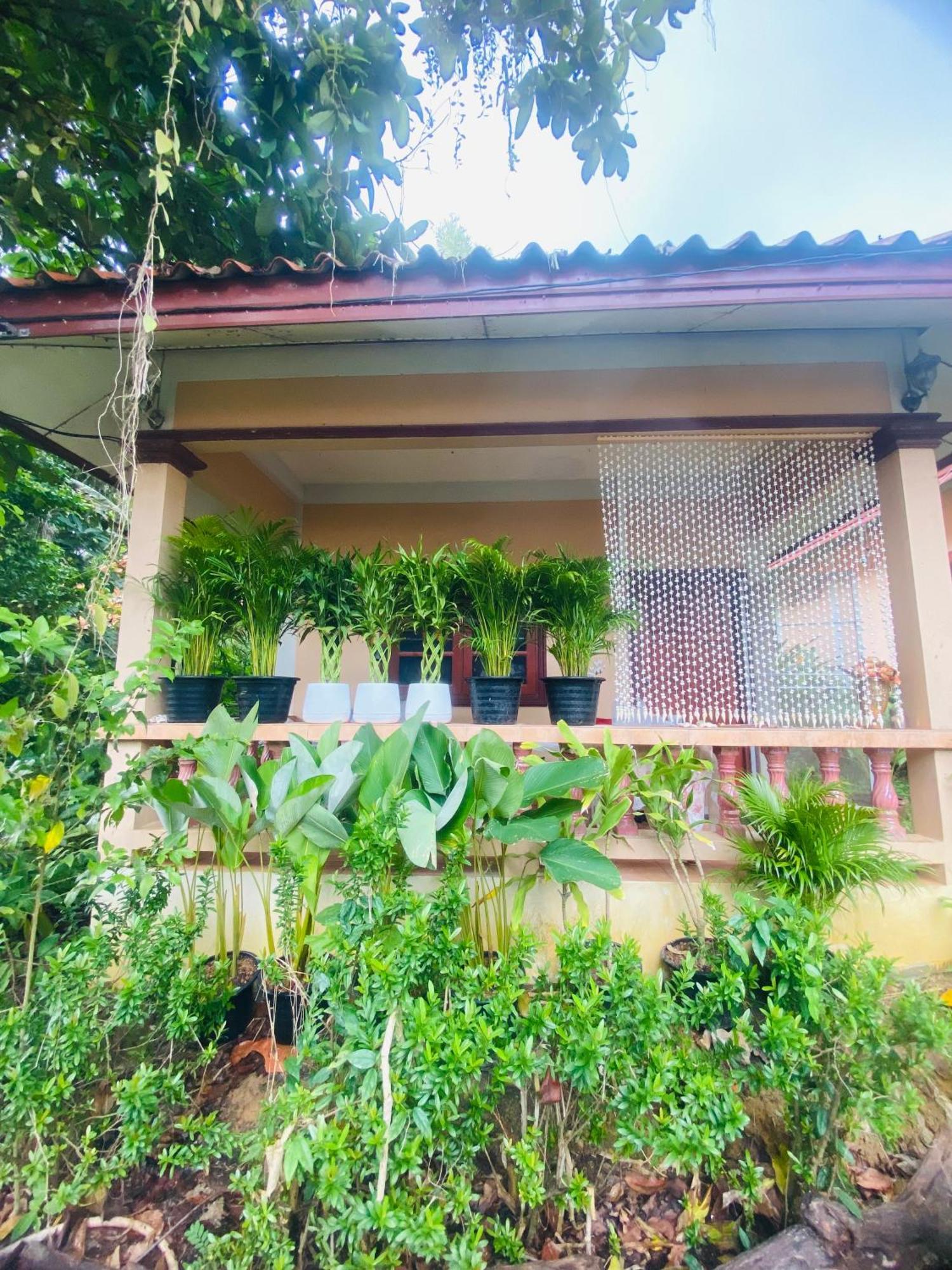 Rose At Ya Nui Holiday home *