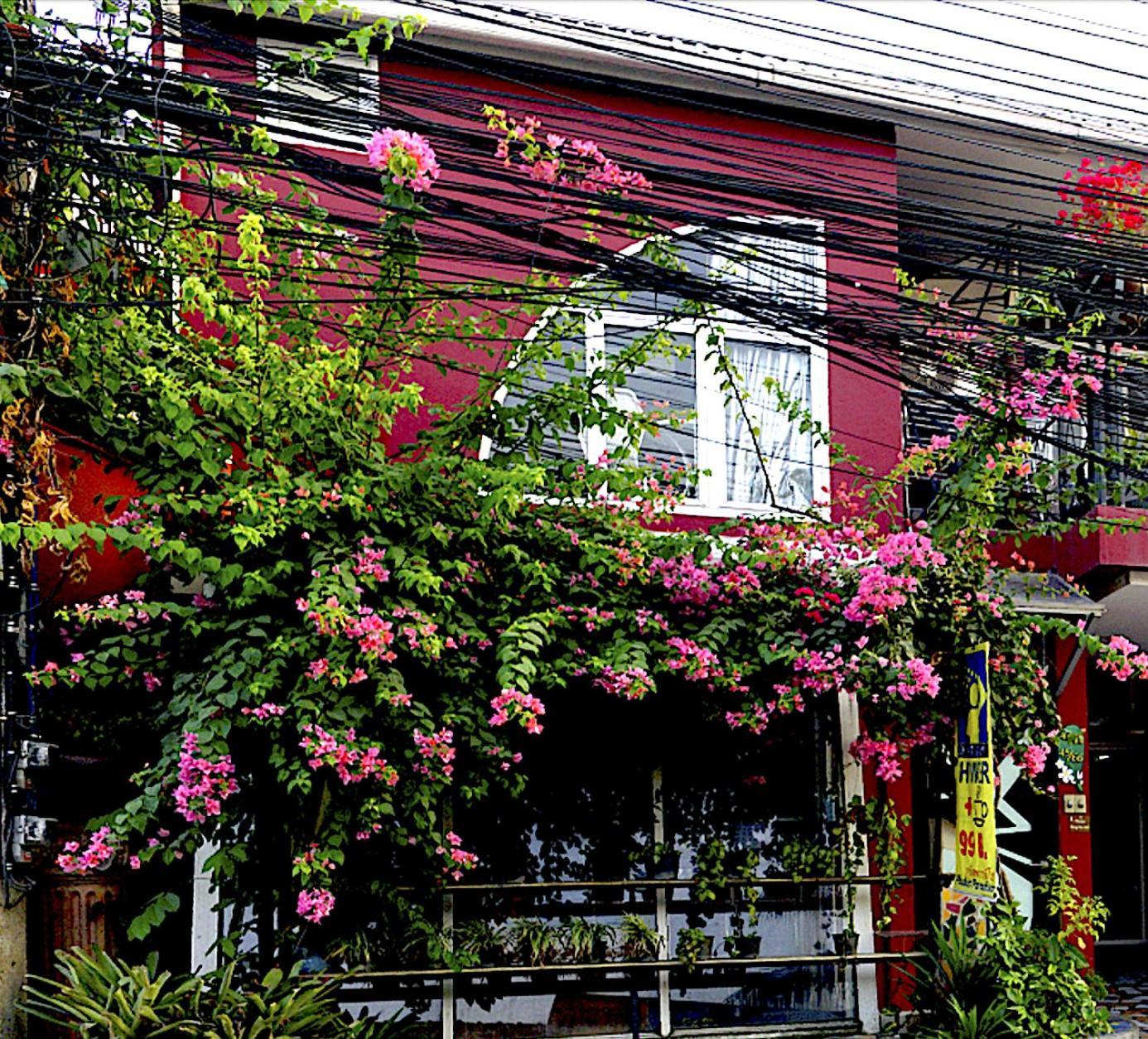 Phuket Paradiso Guest house Chalong