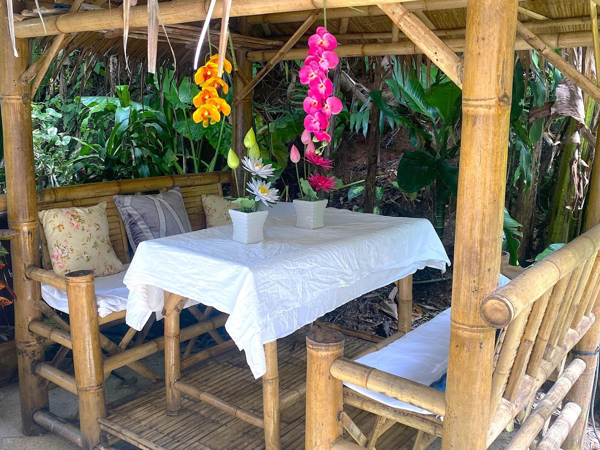 Oasis Naturist *