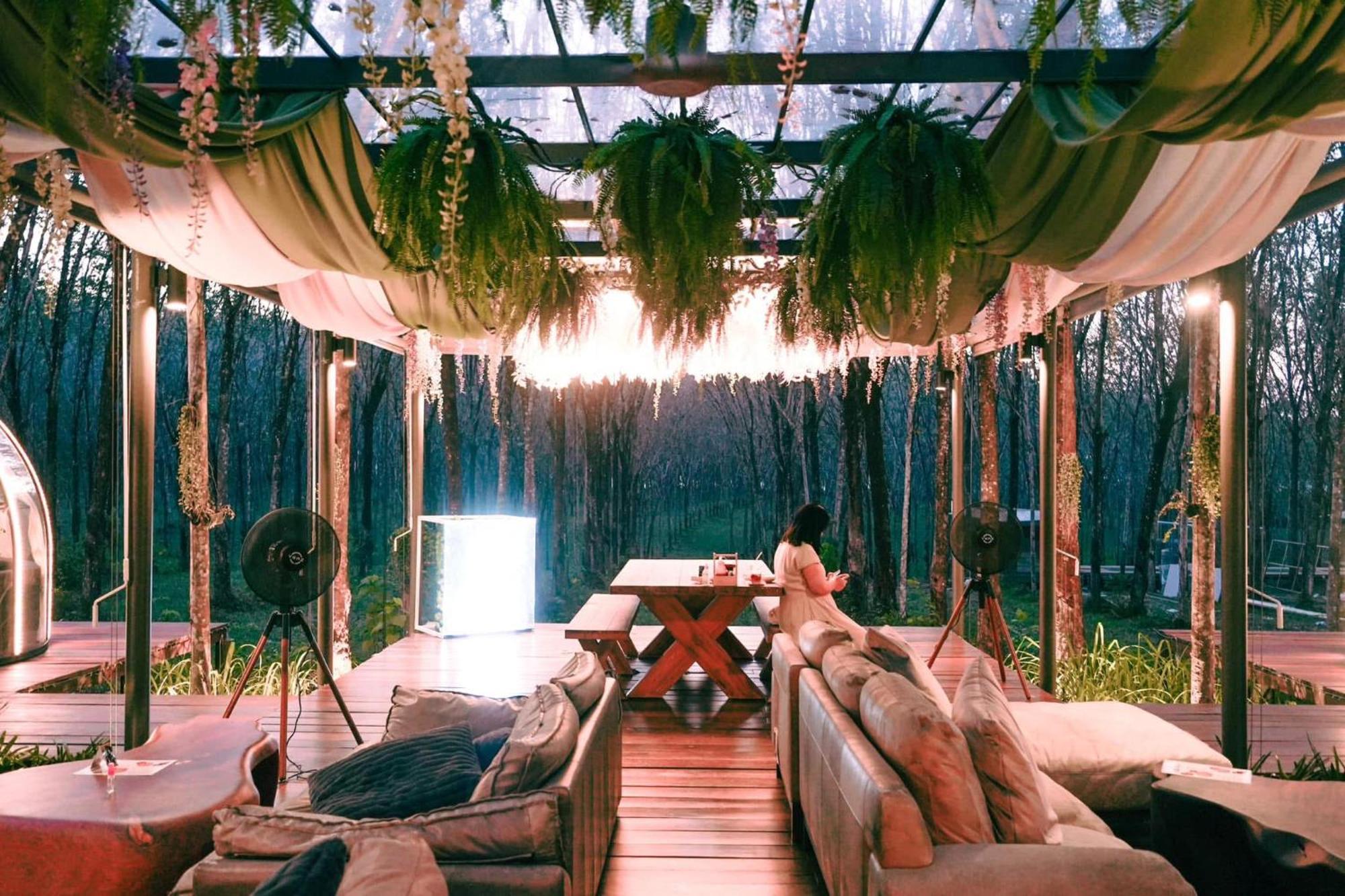 Timber Society Boutique Hideaway