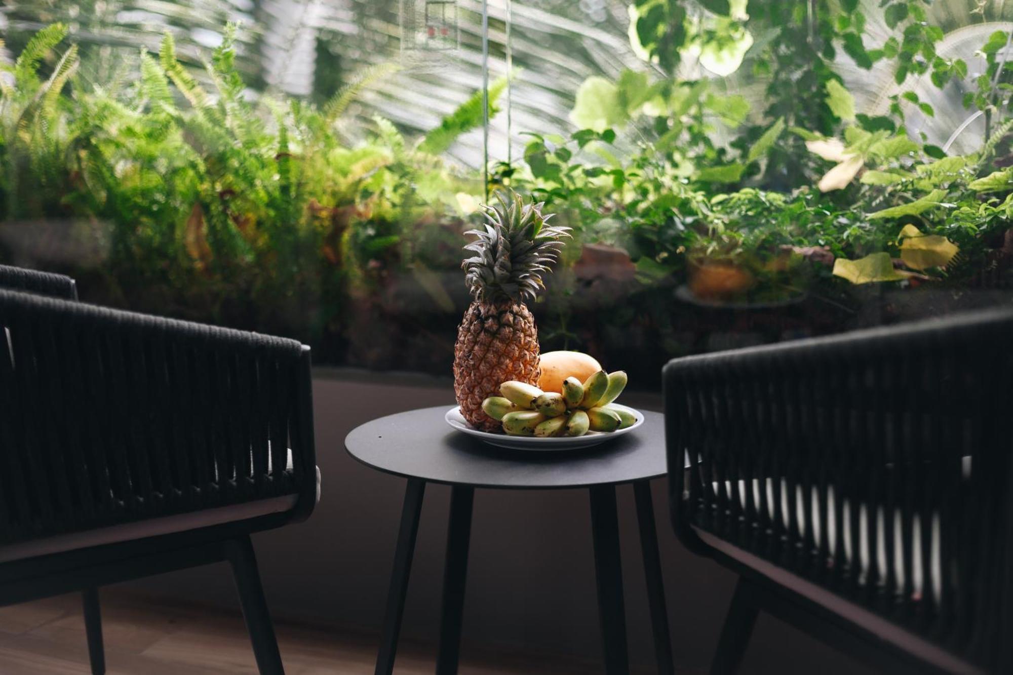 Solara Phuket Aparthotel Bang Tao Beach (Phuket)