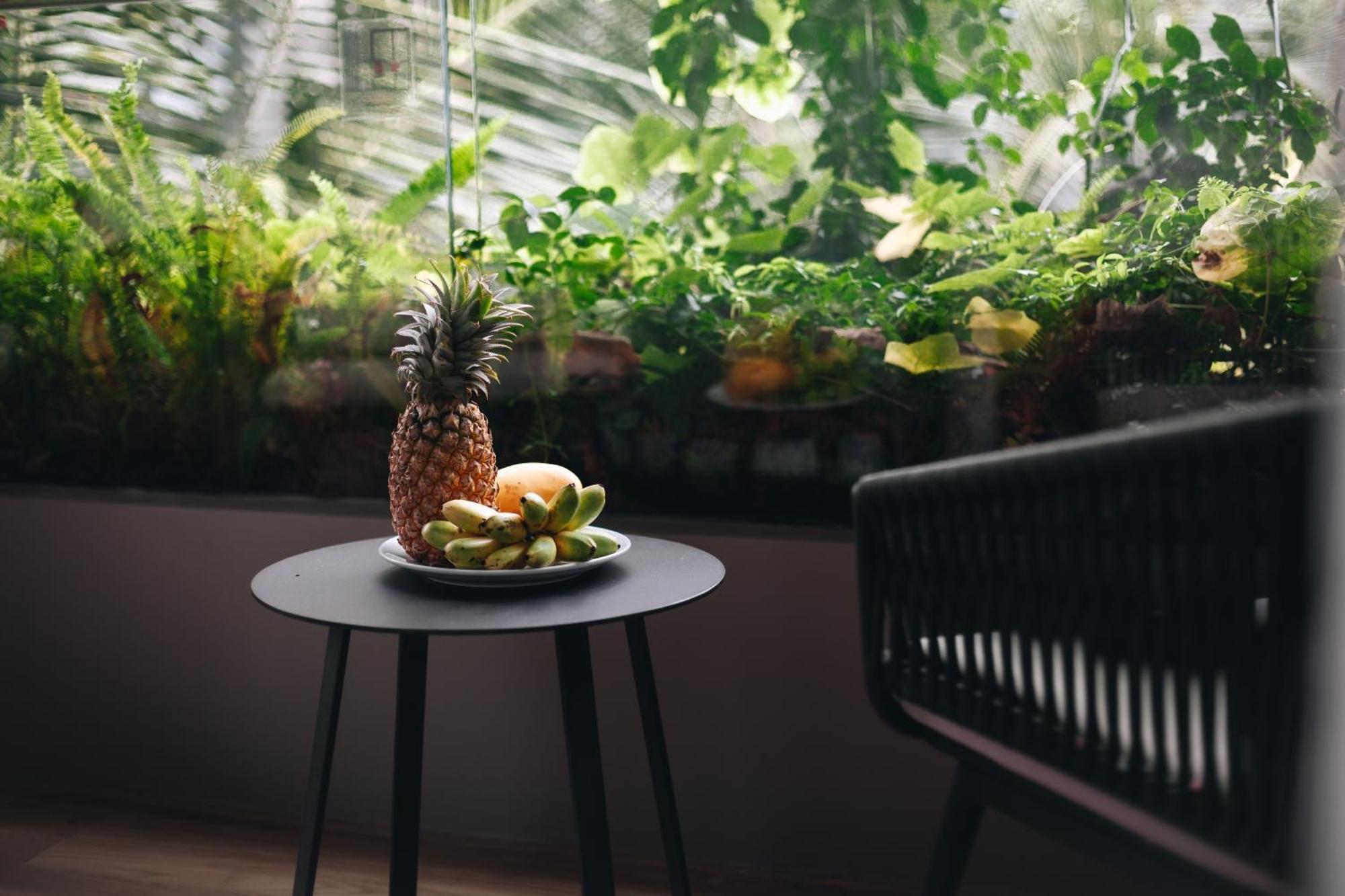 Solara Phuket
