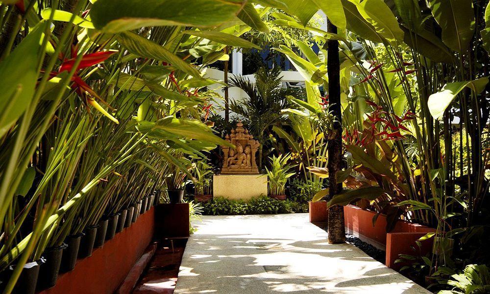 Safari Hotel 3*