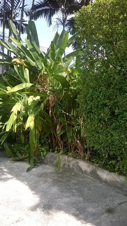 Baantonsai Garden - Sha Extra Resort