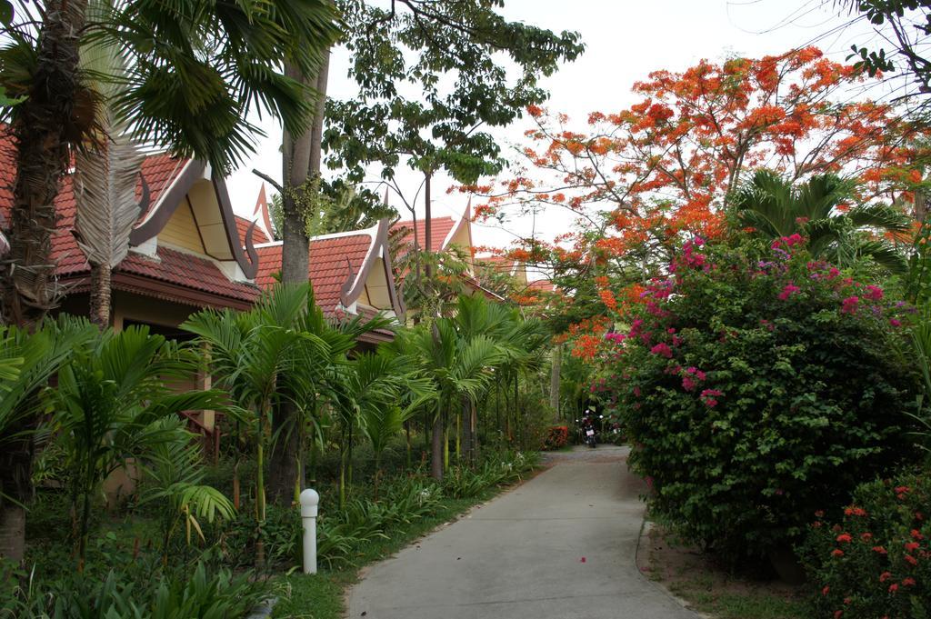 Palm Village Tempat peranginan Rawai