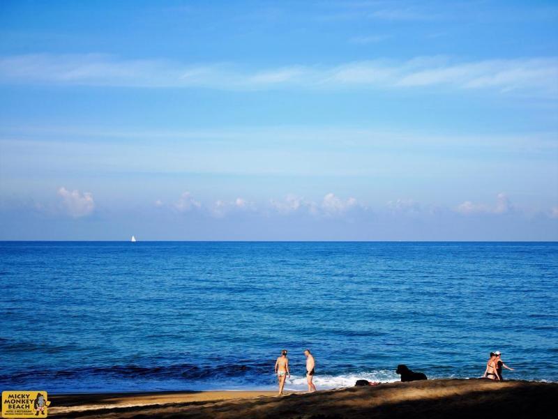 Hotel Micky Monkey Beach At Maikhao Beach 2*