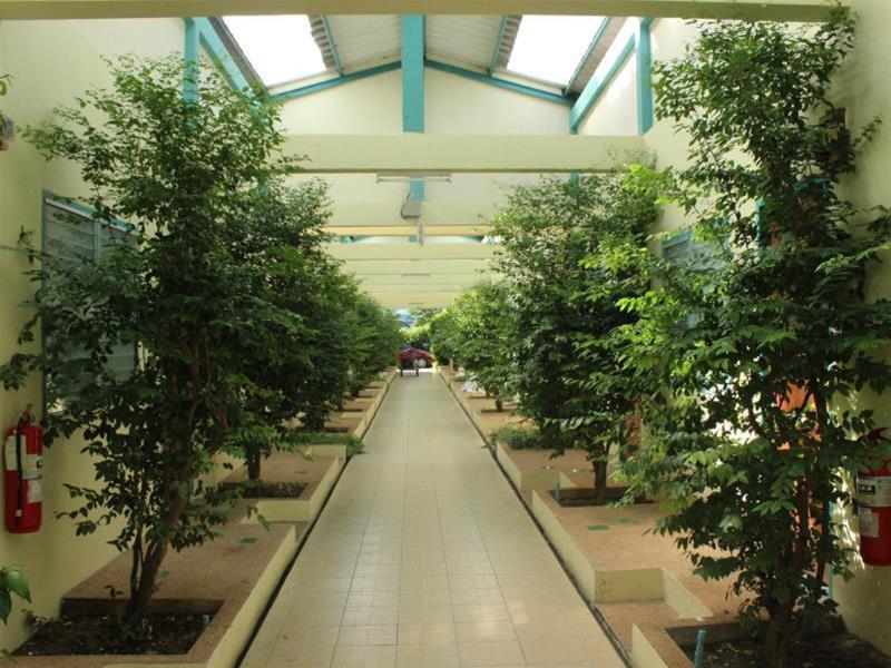 Resort Baantonsai Garden - Sha Extra 3*