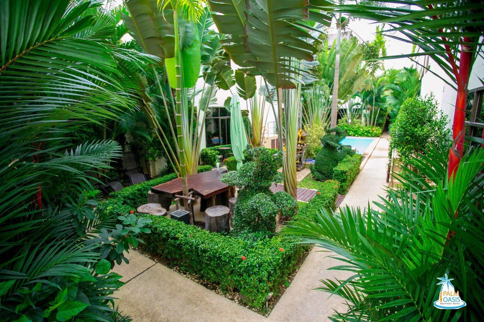 Palm Oasis *
