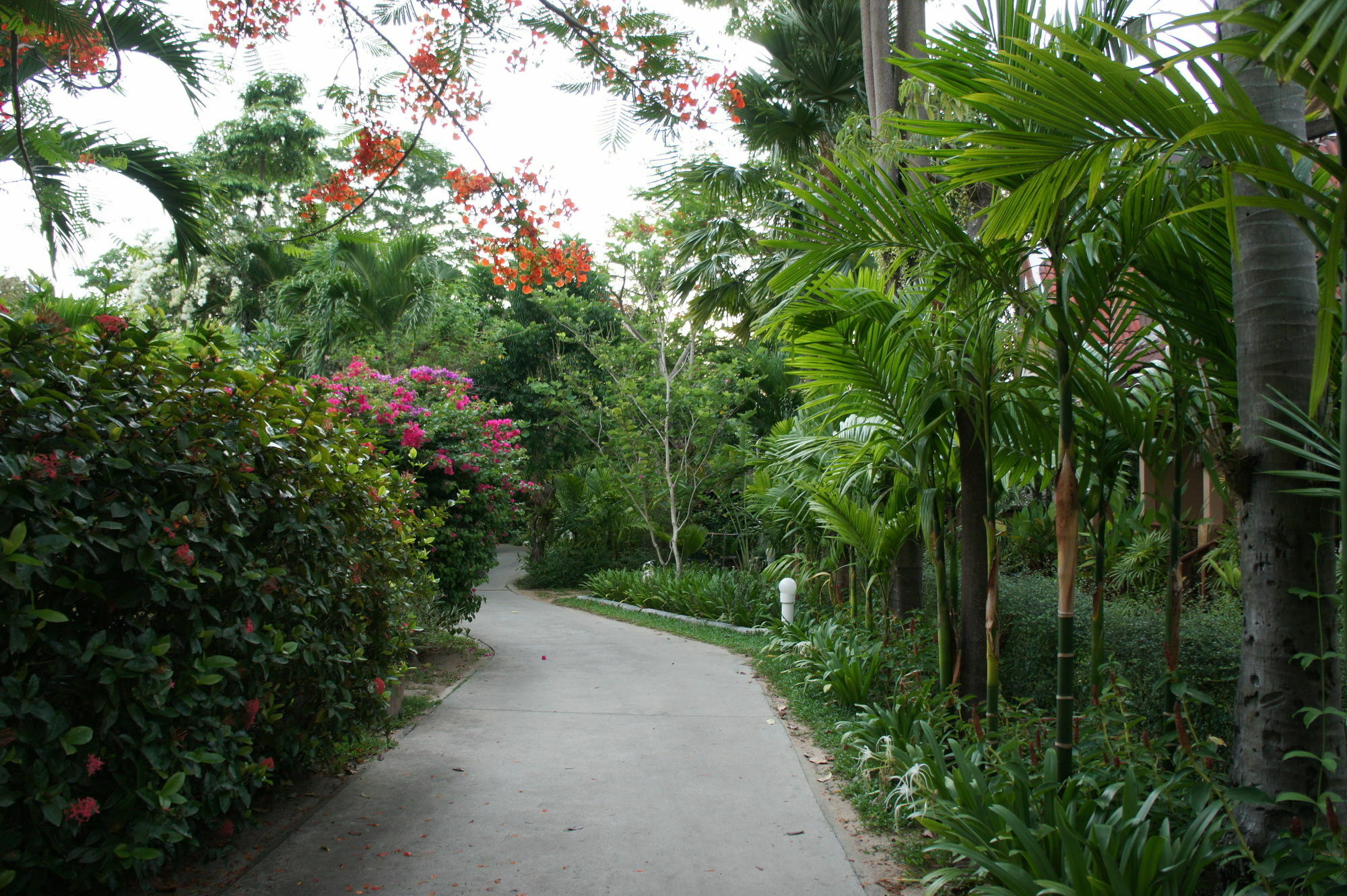 Palm Village Tempat peranginan Rawai