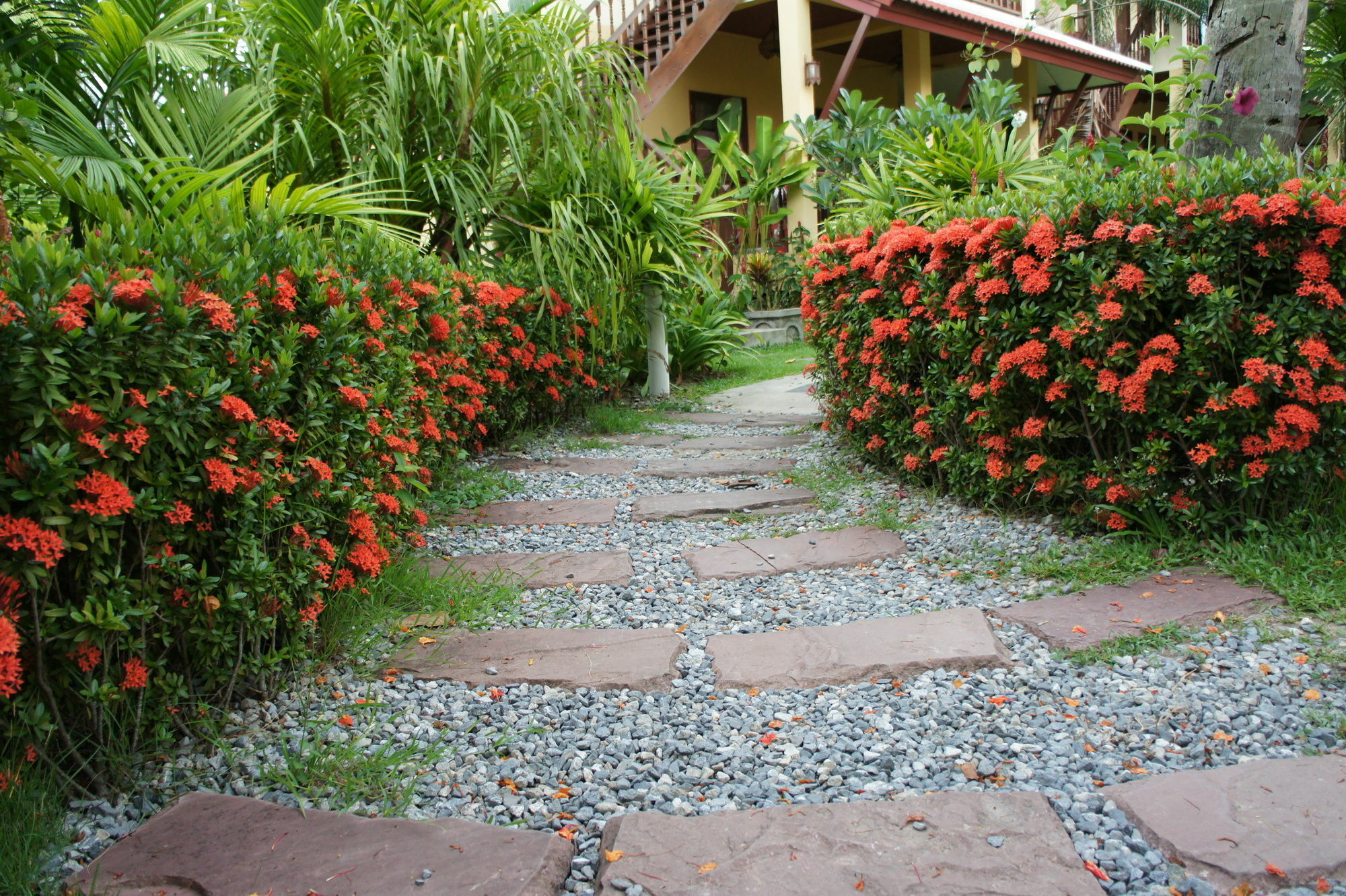 Palm Village Tempat peranginan 3*