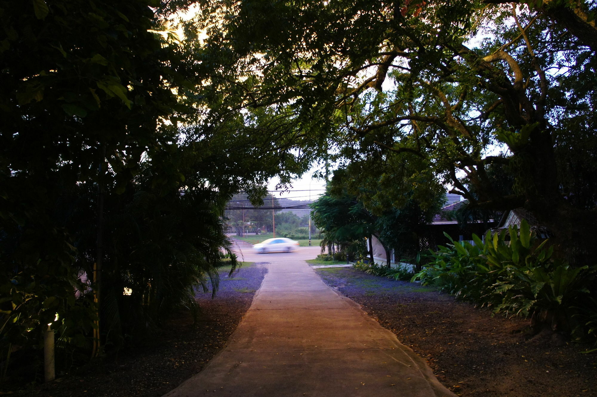 Tempat peranginan Palm Village 3*