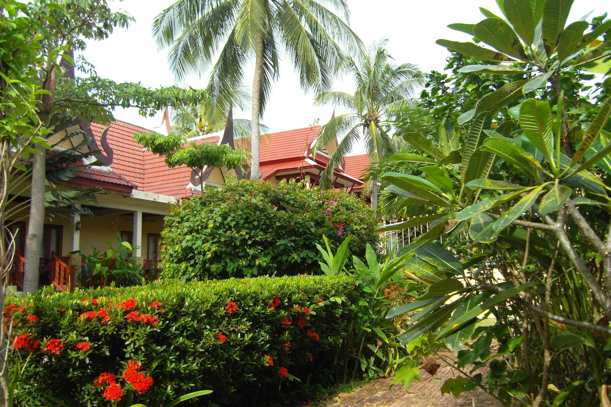 Palm Village Tempat peranginan Rawai