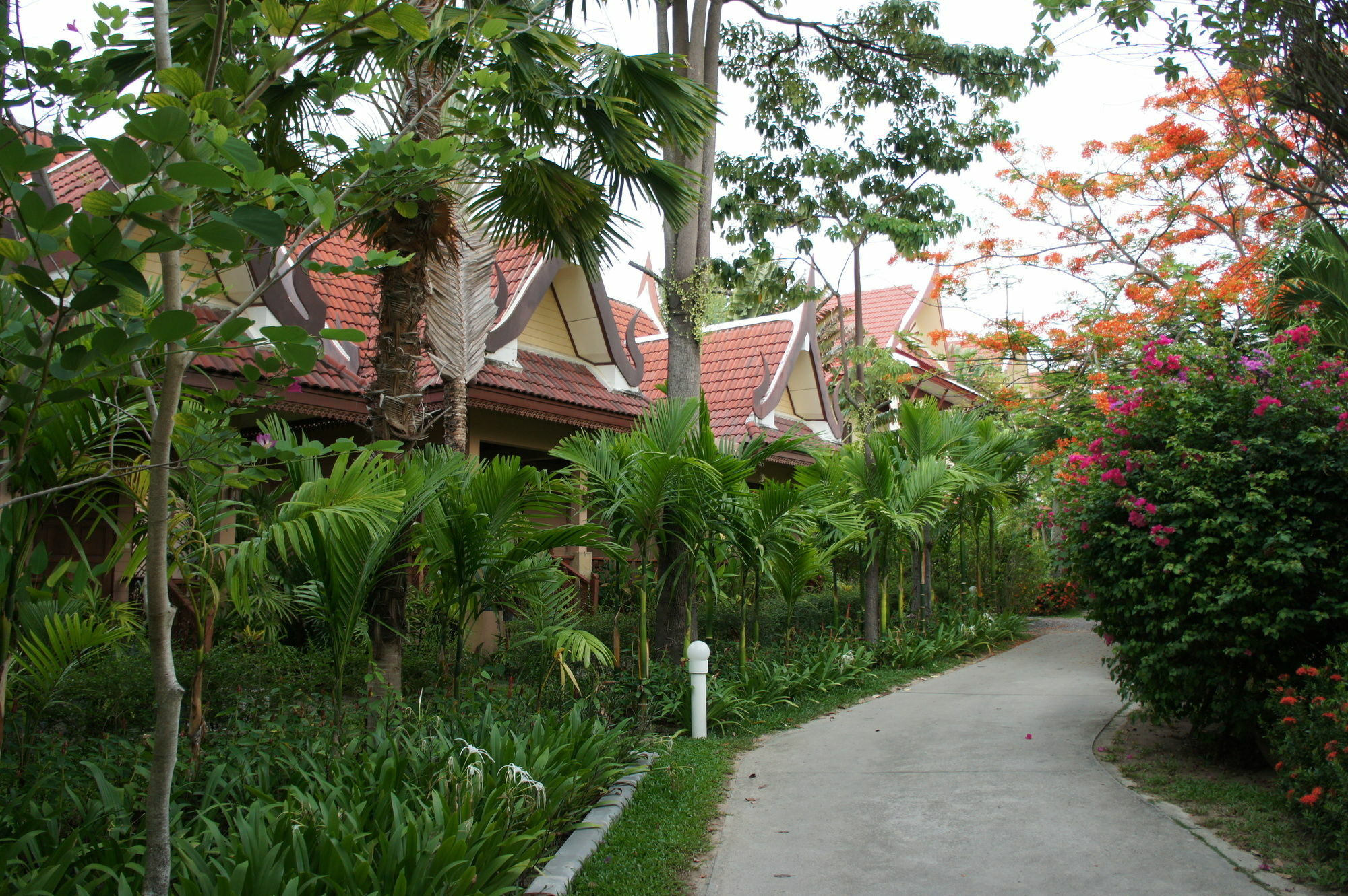 Palm Village Tempat peranginan Rawai