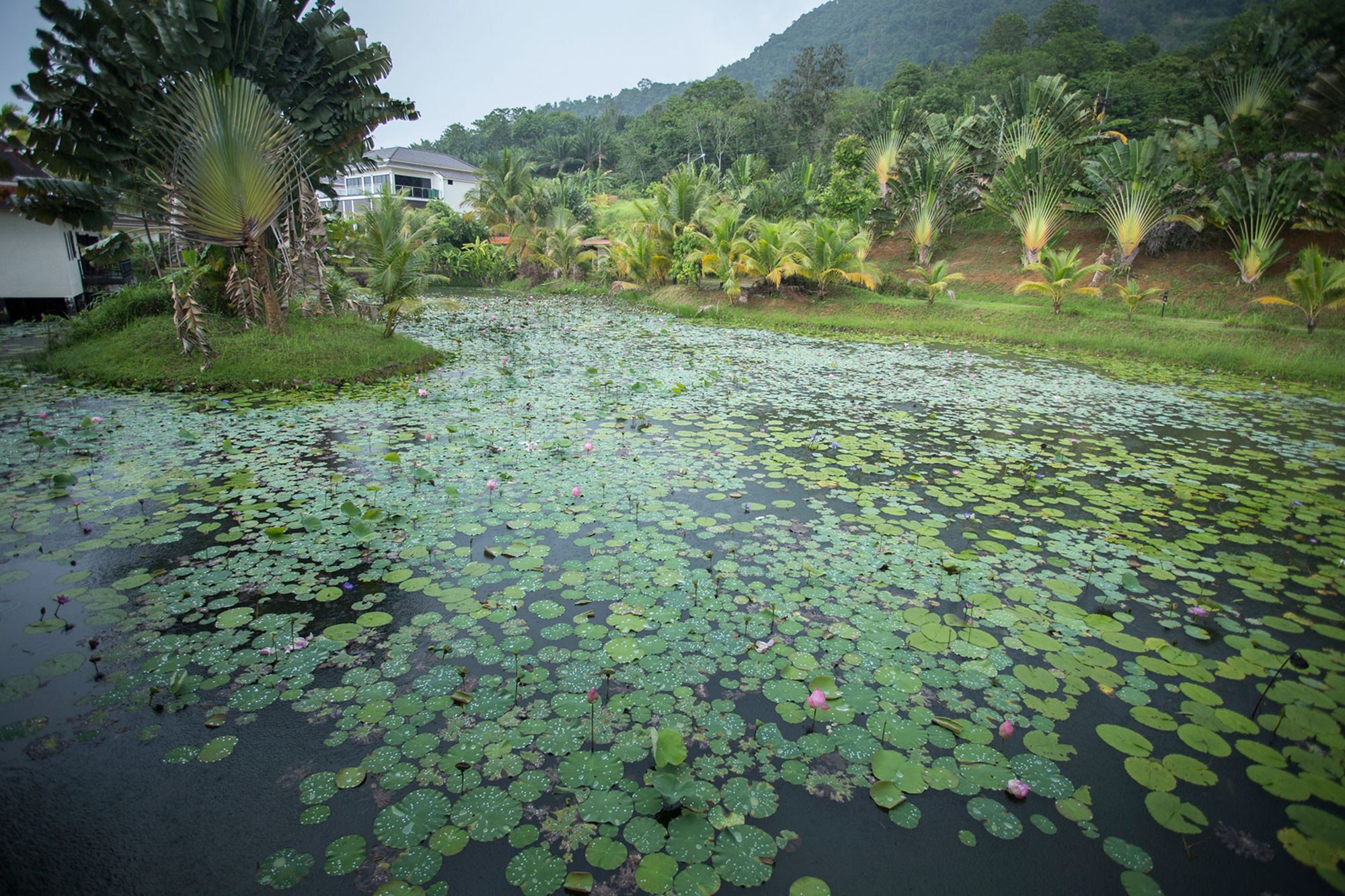 Resort Kaleane 4*