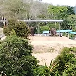 Mountain View Resort