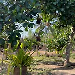 Maikhao Island 11