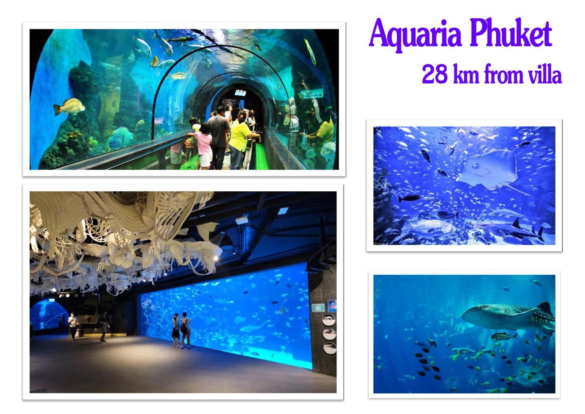 Khao Manee Phuket