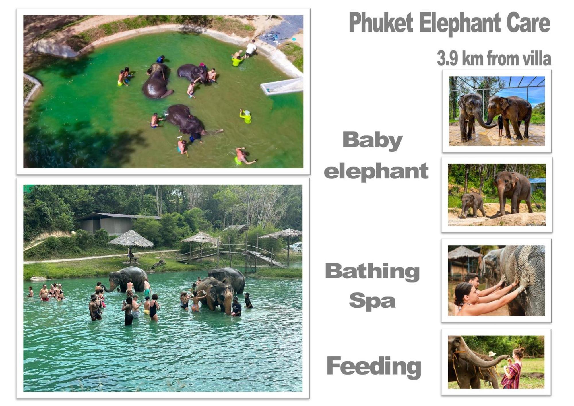 Khao Manee Phuket