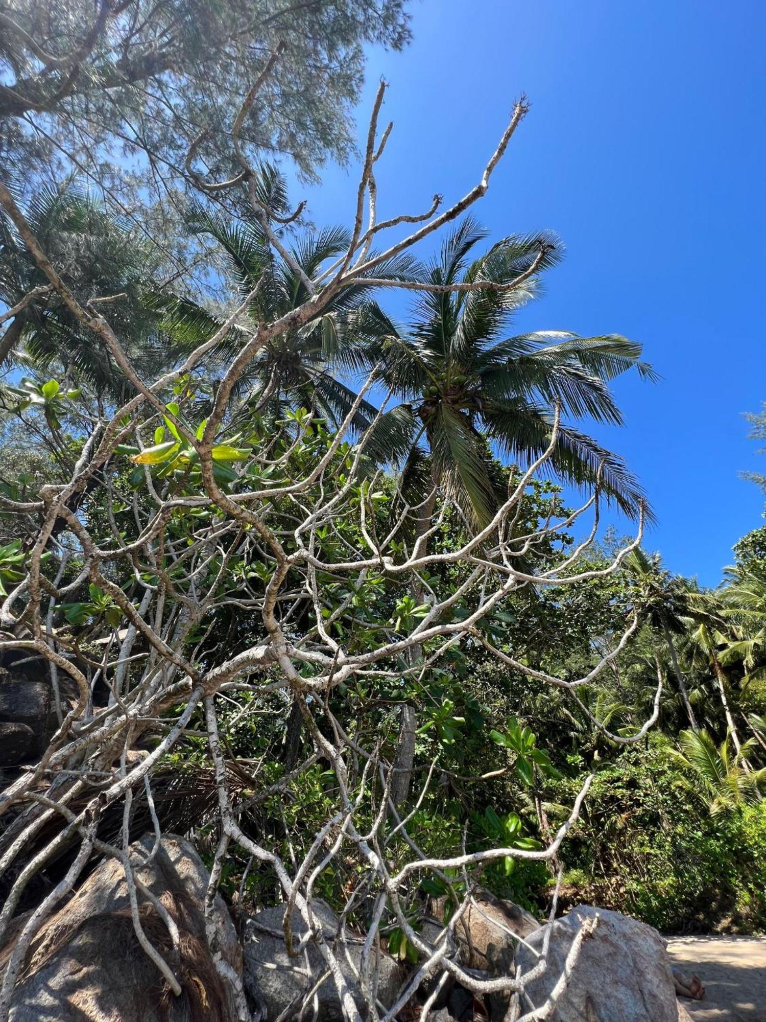 Pousada Khao Manee *