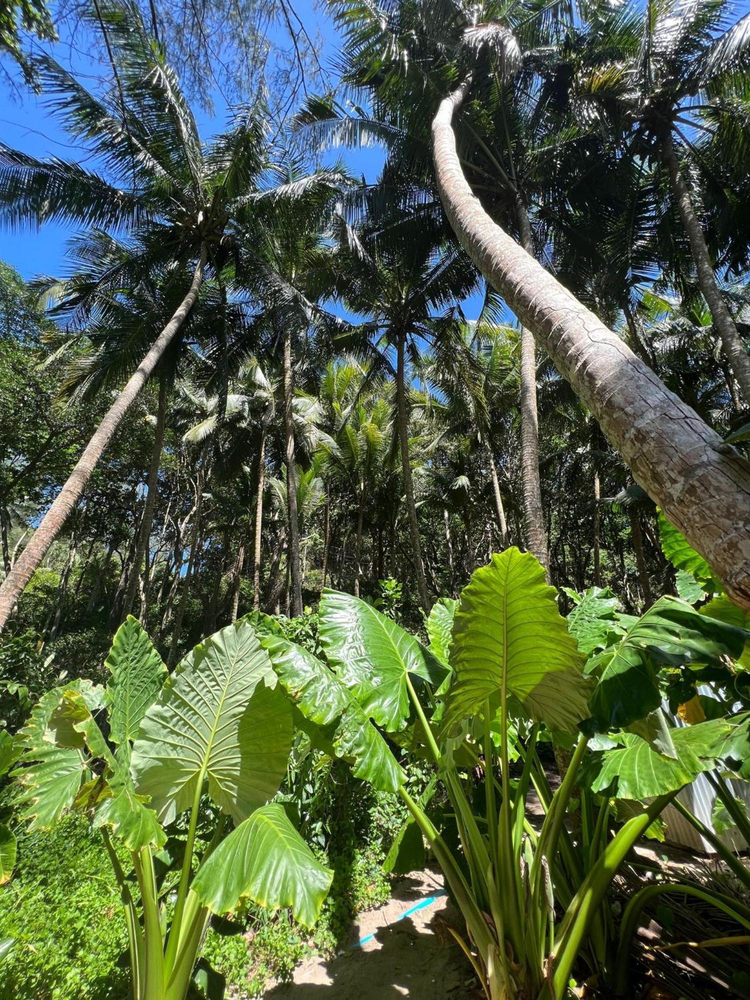 Pousada Khao Manee *