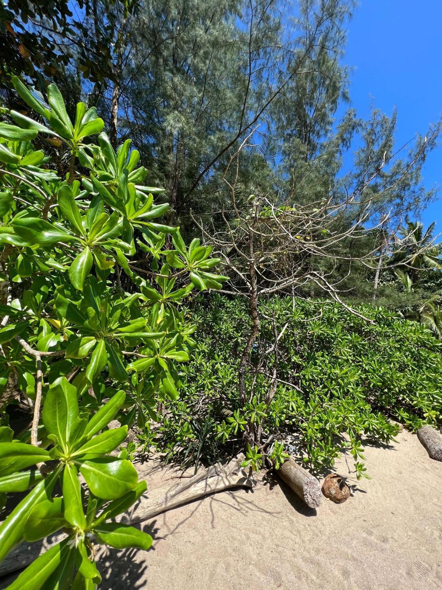 Khao Manee Pousada Phuket