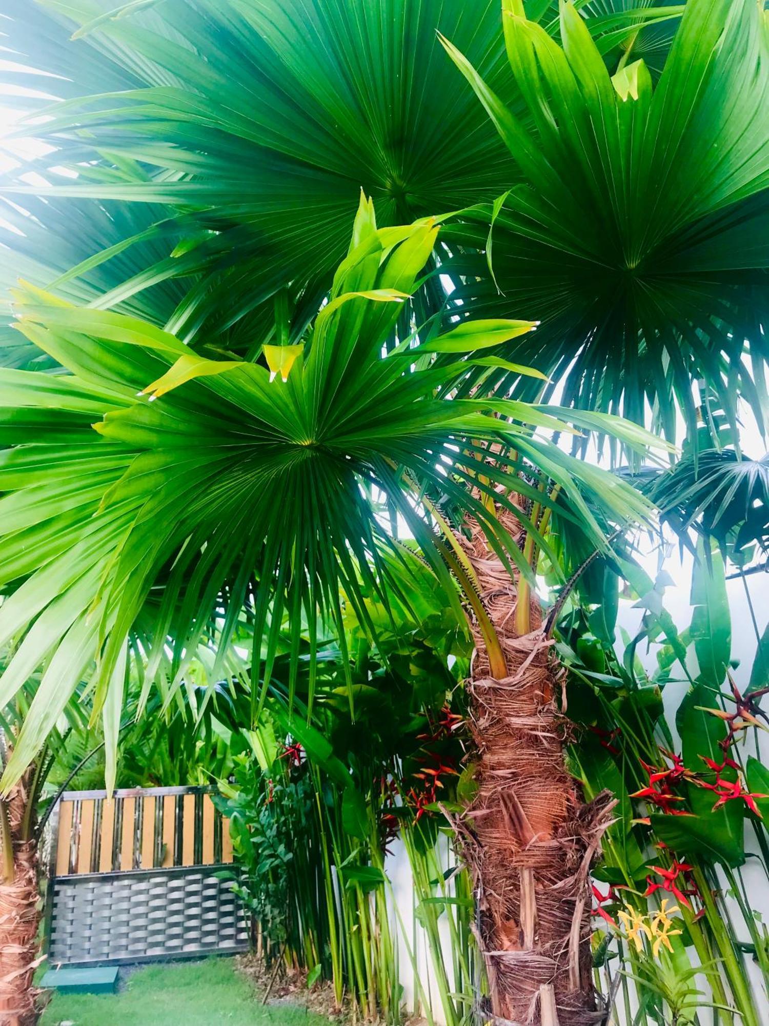 Mai Mee Pan Ha 3 Bedrooms Vila Phuket