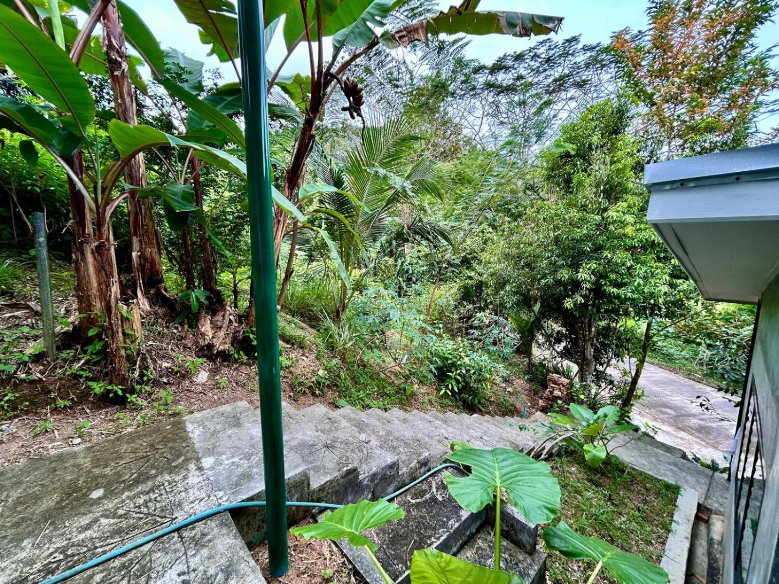 Phuchada